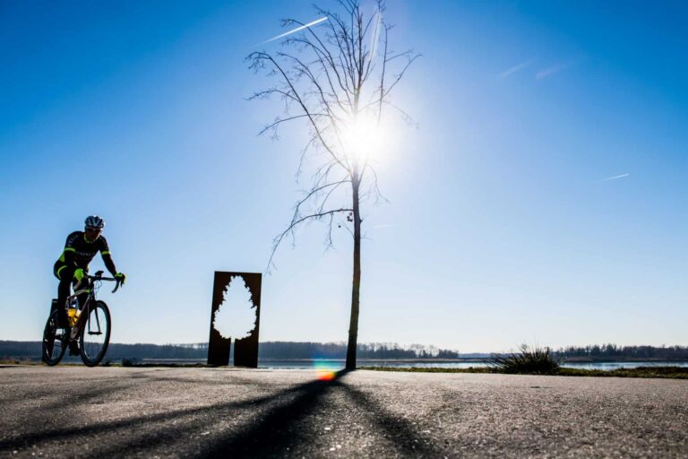 Boom metalen kunstwerk boom zon tegenlicht fietser op dijk naast Schelde