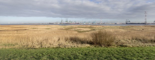 Prosperpolder Noord